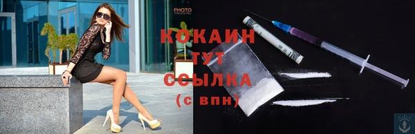 шишки Покров