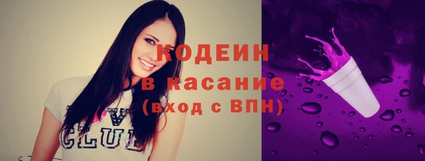 шишки Покров