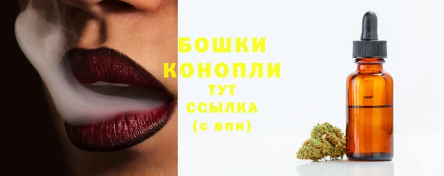 шишки Покров