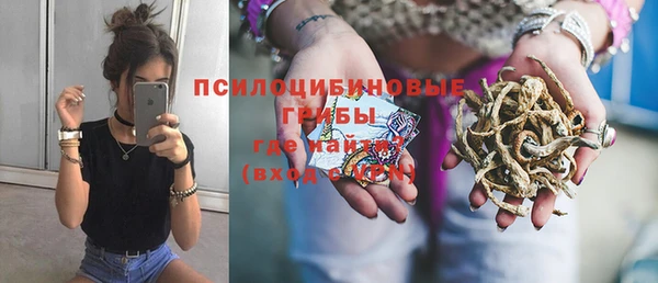шишки Покров