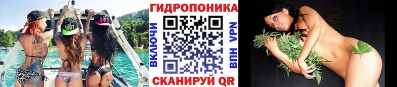 Бошки Шишки MAZAR  Свирск 